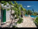 Holiday home Ivo - house with pool: H(4+1) Bol - Island Brac  - Croatia - courtyard