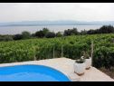 Holiday home Ivo - house with pool: H(4+1) Bol - Island Brac  - Croatia - view