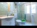 Apartments Dalis - open swimming pool: A1 kat(4+1), A2 prizemlje(4) Cove Osibova (Milna) - Island Brac  - Croatia - Apartment - A2 prizemlje(4): bathroom with toilet