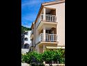 Apartments Ljuba - in center & close to the beach: A1(2+2), A2(2+2), A3(2+2), A4(2+2) Duba - Riviera Dubrovnik  - house