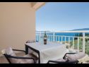 Apartments Ljuba - in center & close to the beach: A1(2+2), A2(2+2), A3(2+2), A4(2+2) Duba - Riviera Dubrovnik  - Apartment - A3(2+2): terrace