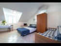 Apartments Dia - 30 m from sea: A1(2+2), SA-D1(2), SA-G1(2) Zaton (Dubrovnik) - Riviera Dubrovnik  - Studio apartment - SA-G1(2): bedroom