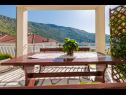 Apartments Gordana A1(4) Zaton (Dubrovnik) - Riviera Dubrovnik  - Apartment - A1(4): terrace