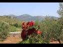 Holiday home Nature park - relaxing and comfortable: H(4) Telascica - Island Dugi otok  - Croatia - detail