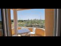 Apartments Gorgi - garden view: A2(2), A3(2), A4(2), A5(2), A6(2) Liznjan - Istria  - Apartment - A4(2): terrace