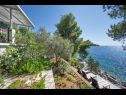 Holiday home Momento - peaceful resort : H(10) Blato - Island Korcula  - Croatia - view