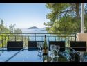 Holiday home Momento - peaceful resort : H(10) Blato - Island Korcula  - Croatia - H(10): terrace view