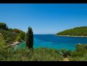 Holiday home Vers - 35m from the sea: H(4+2) Cove Picena (Vela Luka) - Island Korcula  - Croatia - view