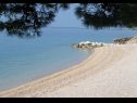 Apartments Lovre - close to the sea : A1(6), A2(4+1) prizemlje, A3(5) Brela - Riviera Makarska  - beach