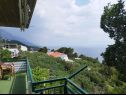 Apartments Mare - 150 m from beach SA1(2), A2(4+1), A3(4+2) Brela - Riviera Makarska  - Apartment - A3(4+2): balcony