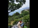 Apartments Mare - 150 m from beach SA1(2), A2(4+1), A3(4+2) Brela - Riviera Makarska  - view (house and surroundings)