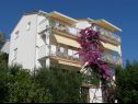 Apartments Kate - 20m from the beach: A1(2+2), A2(2+2) Brist - Riviera Makarska  - house