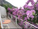 Apartments Graci - 20 m from pebble beach: A1(4) Gradac - Riviera Makarska  - Apartment - A1(4): terrace