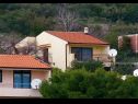 Apartments Bianca - very nice sea view: A1 Blanka(2+2) Igrane - Riviera Makarska  - house