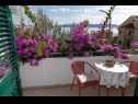 Apartments Blue - 100 m from beach: A1(3+1) Igrane - Riviera Makarska  - house