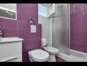 Apartments Smi - 250 m from sea: A1 juzni(2+1), A2 sjeverni(2+1), A3(4) Makarska - Riviera Makarska  - Apartment - A1 juzni(2+1): bathroom with toilet