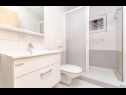 Apartments Star - with swimming pool: A1(4), A4 lavanda(4), A3 ruzmarin(4), A5(6), A6(6) Stomorska - Island Solta  - Apartment - A5(6): bathroom with toilet