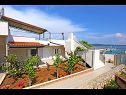 Apartments Marija - beautiful sea view: A1(4+1) Drvenik Mali (Island Drvenik Mali) - Riviera Trogir  - garden