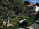 Apartments Jak - 10m from the sea: A(4+2) Sevid - Riviera Trogir  - house