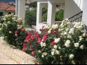 Apartments Davorka - 50m from the sea A1(2+2), A2(2+2) Trogir - Riviera Trogir  - flowers