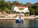 Apartments Roki - 10 m from beach: A1(6+2) Veliki, A2(2+2) Mali Cove Rogacic (Vis) - Island Vis  - Croatia - house