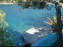 Holiday home Dob - 5m from the sea: H(4) Cove Stoncica (Vis) - Island Vis  - Croatia - beach