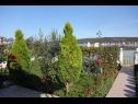 Apartments Let - 5 m from sea : A1(4), A4(4) Sukosan - Zadar riviera  - garden