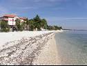 Apartments Monika - 10m from sea: A8(4+2), A11(4+2), A16(4+2), A17(4+2), A12(2+2), A13(2+2), A20(2+2), A21(2+2), SA14(2+1), SA15(2+1), SA22(2+1), A23(2+1) Vir - Zadar riviera  - beach