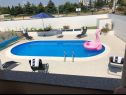 Holiday home Franny - comfortable: H(6+1) Zadar - Zadar riviera  - Croatia - swimming pool (house and surroundings)
