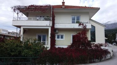 Apartments Maja - 100 from the beach: A1- Galebovo krilo (2+2), A2-Uzorita (2+2), SA1(2) Podgora - Riviera Makarska 
