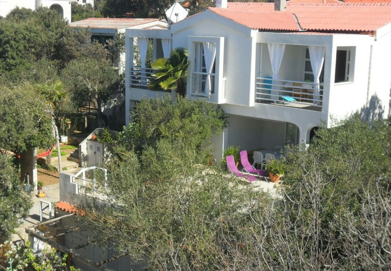 Apartments Bari - 140 m from beach: A1(4+1), A2(4), A3(2+2) Mandre - Island Pag 