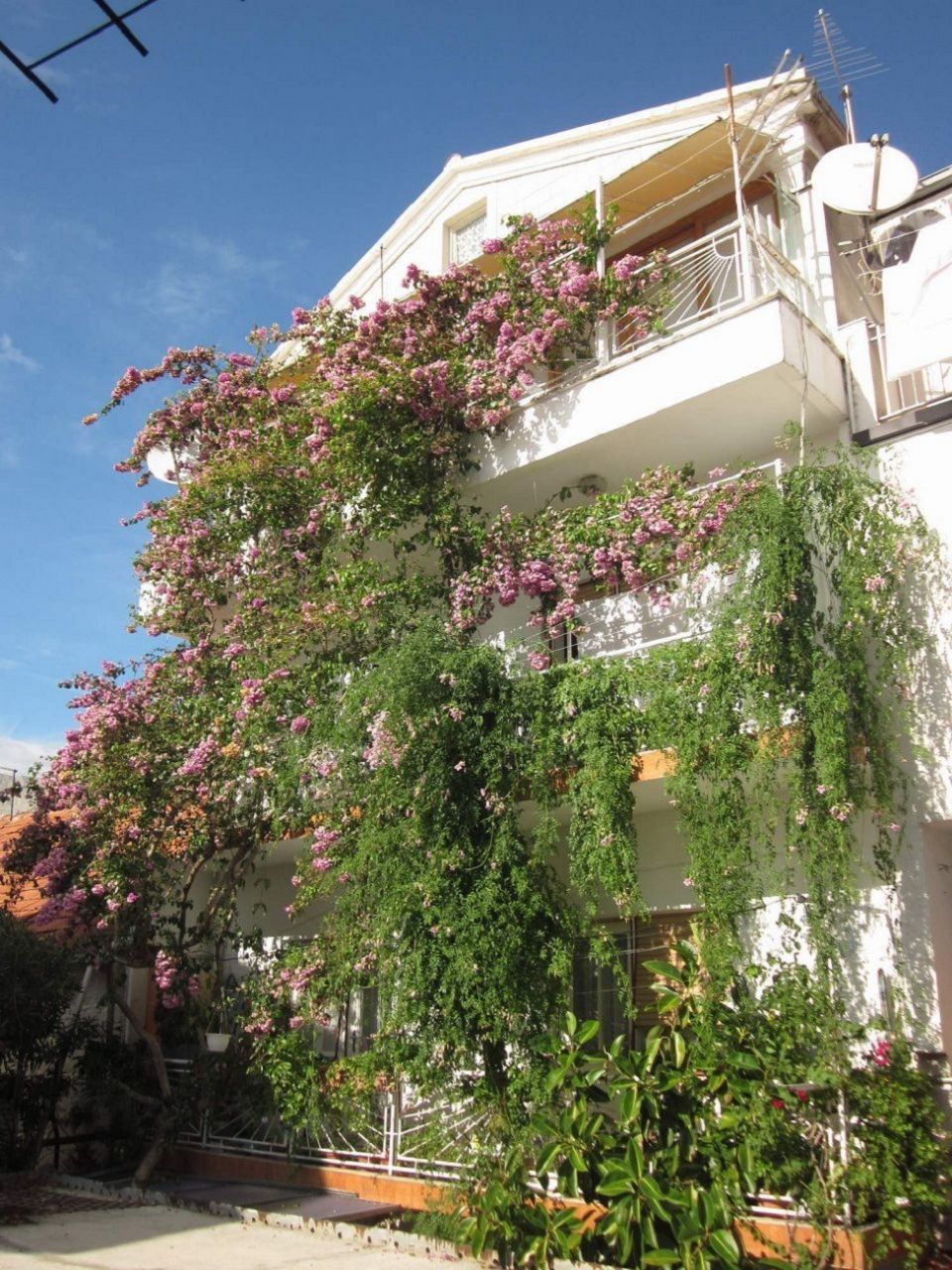 Apartment Graci - 20 m from pebble beach: A1 Gradac, Riviera Makarska 2