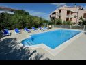 Apartments Olive - swimming pool: A1(4), A2(4), A3(4), SA4(2), SA5(2) Biograd - Riviera Biograd  - swimming pool
