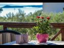 Holiday home Iva - great garden: H(3+2) Drage - Riviera Biograd  - Croatia - detail