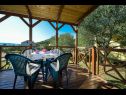 Holiday home Iva - great garden: H(3+2) Drage - Riviera Biograd  - Croatia - terrace