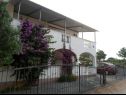 Apartments Marijan - with terrace : A1(2+2), A2(2+2) Drage - Riviera Biograd  - house
