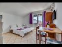 Apartments Tanja - 200m to the beach: A1(2+2), A2(2+2), A3(2+2), A4(2+2), SA5(2) Pakostane - Riviera Biograd  - Apartment - A3(2+2): living room
