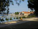 Apartments Renato - 150 m from beach: A1(2+2), A2(2+2) Sveti Filip i Jakov - Riviera Biograd  - beach