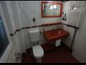 Apartments Viola - with pool : A3(2+2), SA4(2+1), A5(2+2), A6(2+3), SA7(2+1), A8(2+2), A9(2+3), A10(4+2) Sveti Filip i Jakov - Riviera Biograd  - Apartment - A9(2+3): bathroom with toilet