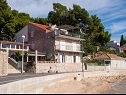 Apartments Pava - direct at the beach with terrace: A1(4) Bol - Island Brac  - house