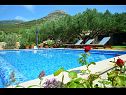 Holiday home Vojo - private swimming pool: H(4) Bol - Island Brac  - Croatia - house
