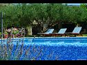 Holiday home Vojo - private swimming pool: H(4) Bol - Island Brac  - Croatia - opened pool (house and surroundings)