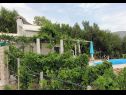 Holiday home Ivo - house with pool: H(4+1) Bol - Island Brac  - Croatia - garden