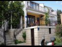 Apartments Ivica - with parking : A1(2), SA2(2), SA3(2) Bol - Island Brac  - house