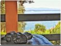 Holiday home Smokovlje - sea view and vineyard H(4) Bol - Island Brac  - Croatia - H(4): view