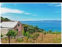 Holiday home Smokovlje - sea view and vineyard H(4) Bol - Island Brac  - Croatia - H(4): house