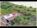 Holiday home Smokovlje - sea view and vineyard H(4) Bol - Island Brac  - Croatia - detail (house and surroundings)