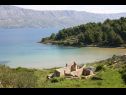Holiday home Lidija - Robinson House: H(2+2) Cove Lovrecina (Postira) - Island Brac  - Croatia - beach