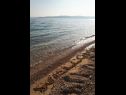 Holiday home Gari - 5 m from sea: H(4+2) Milna (Brac) - Island Brac  - Croatia - beach