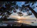 Holiday home Periska - on the beach : H(4+1) Mirca - Island Brac  - Croatia - beach